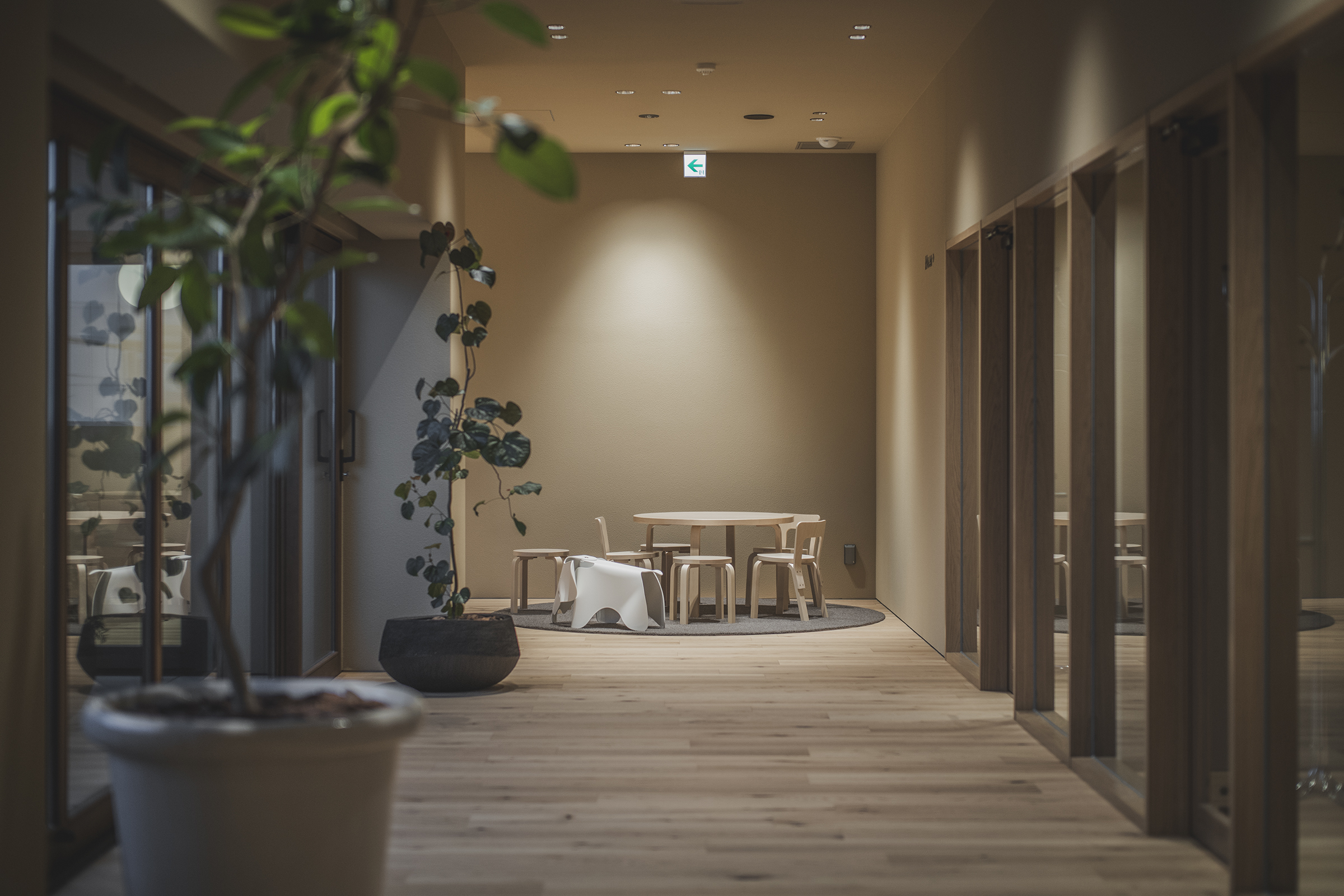 TOYOTA COROLLA SAITAMA Kawagushi