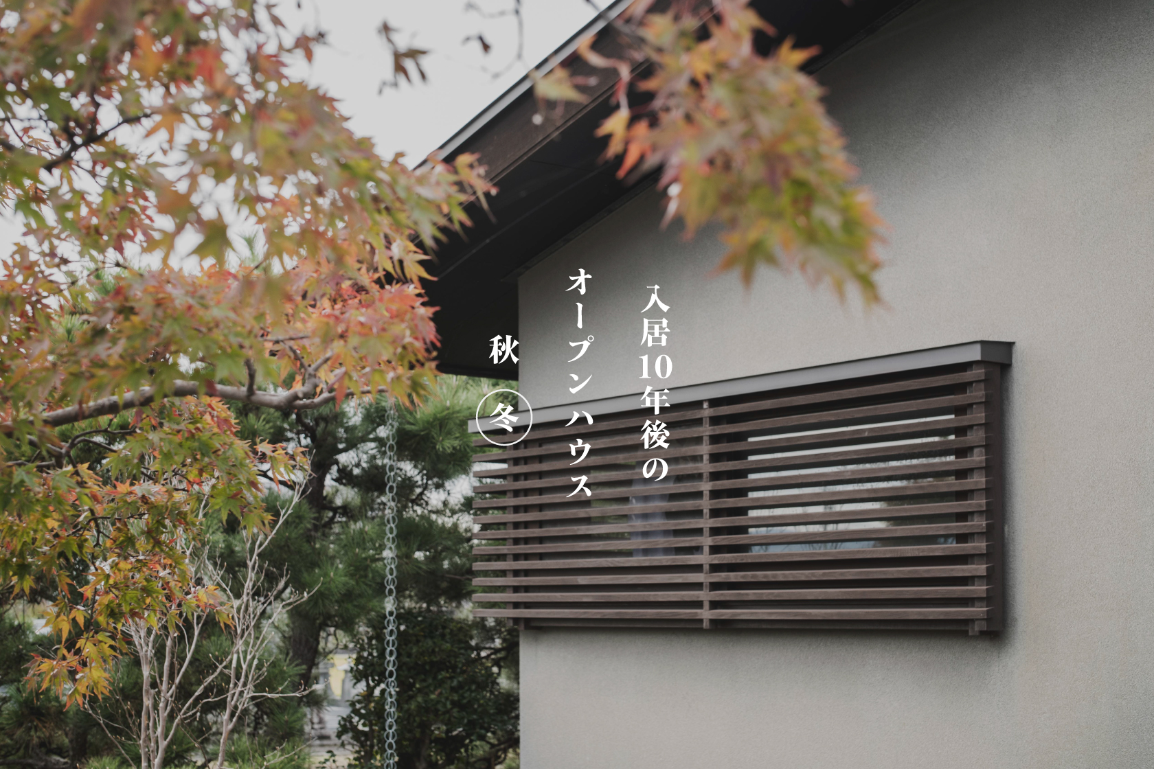 入居10年後のオープンハウス / 冬