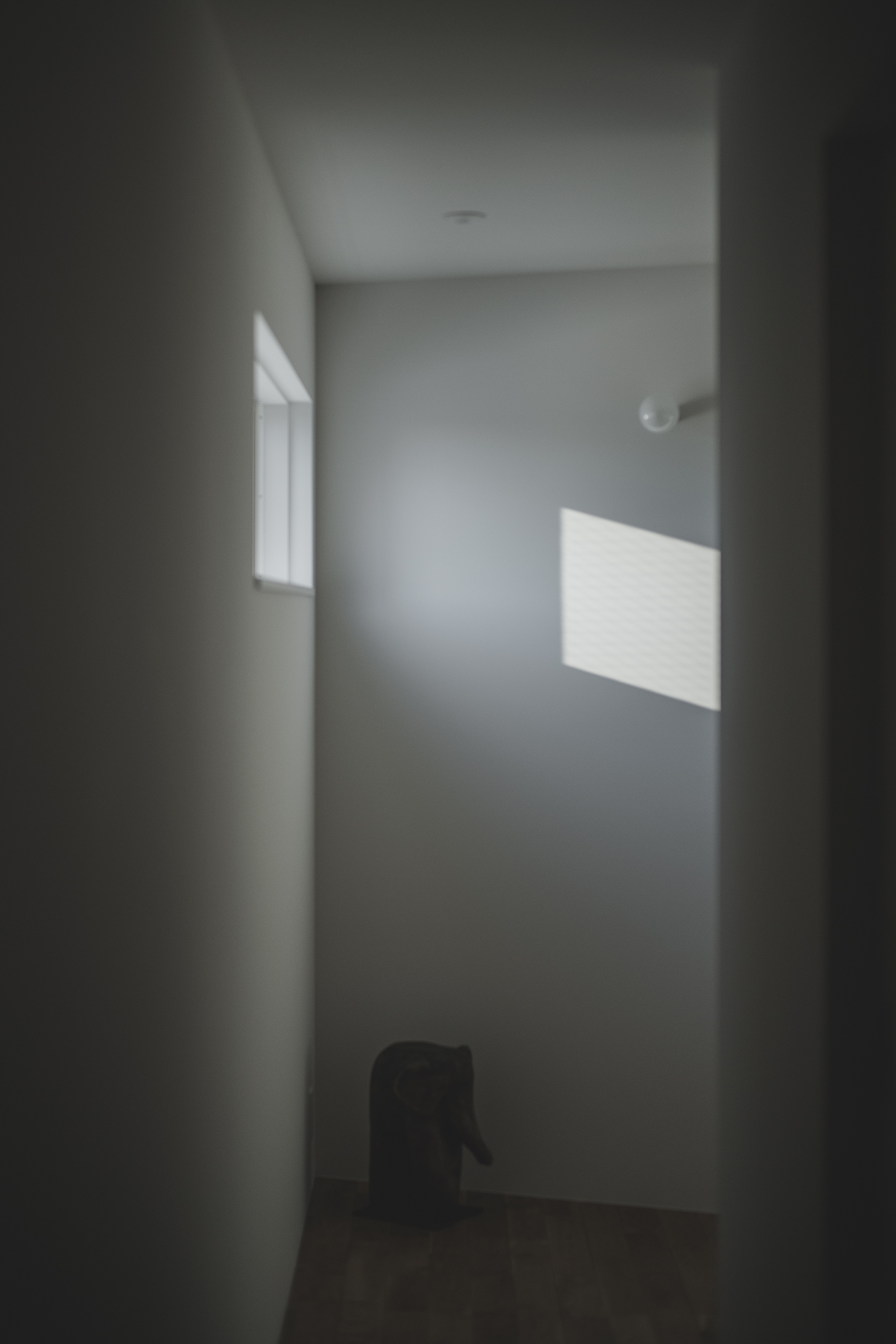 S HOUSE