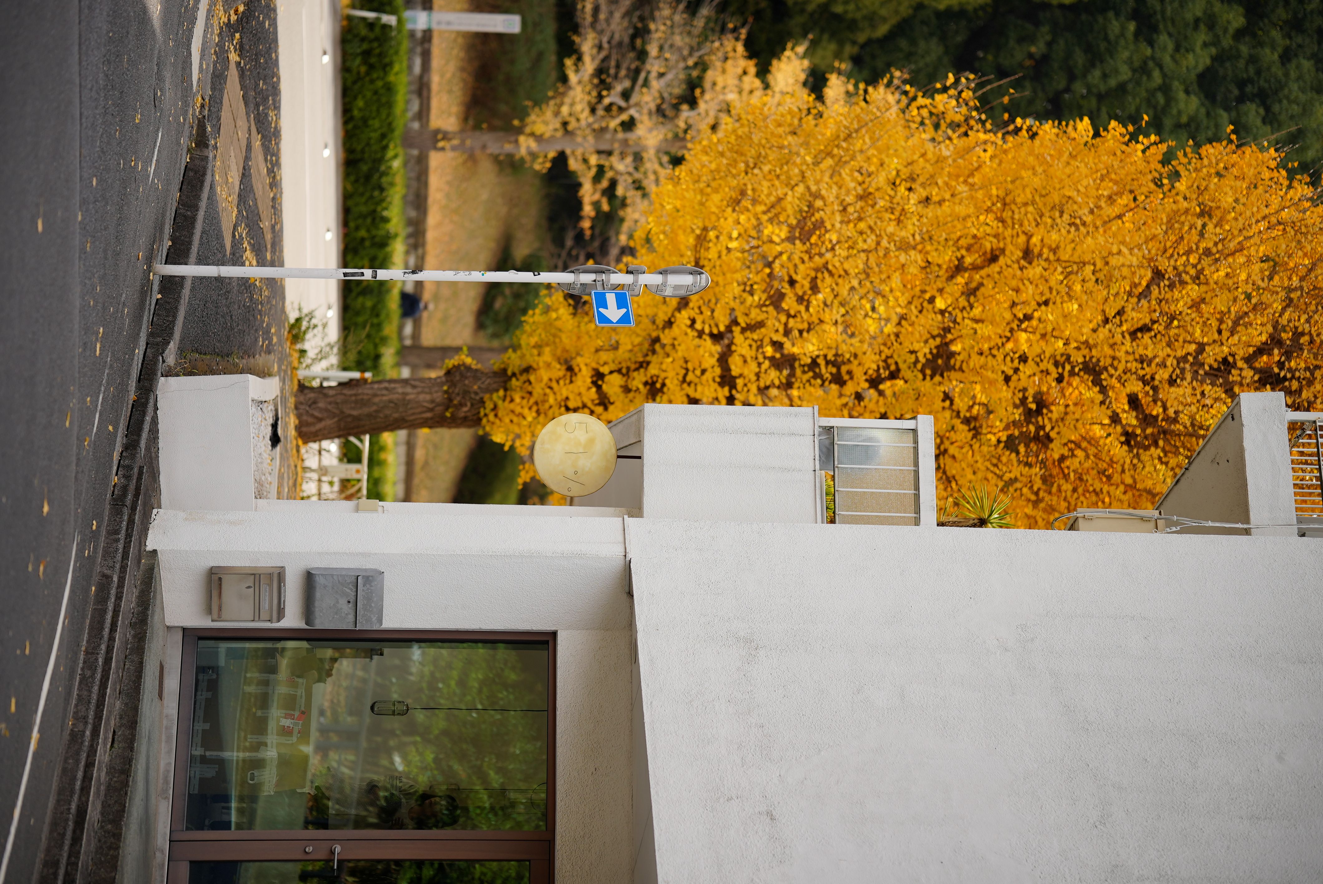 企画展「白白展」